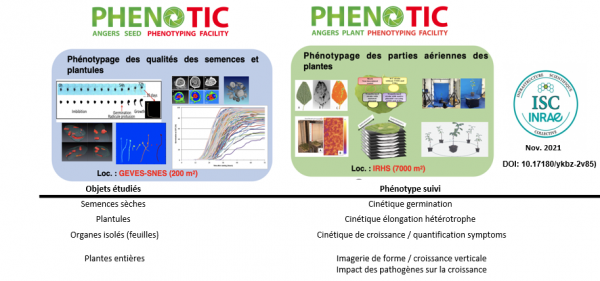 Description PHENOTIC